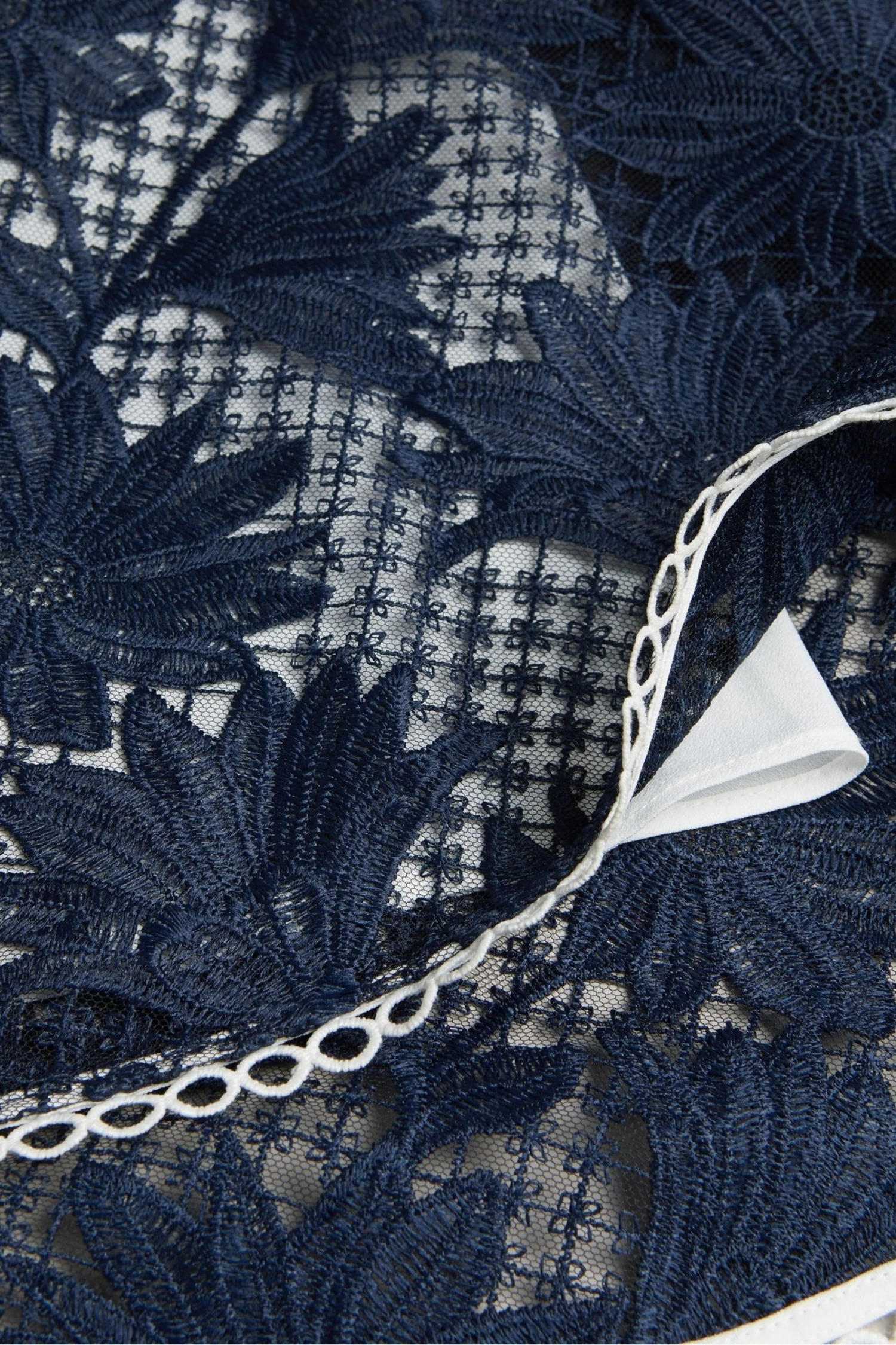 Ted Baker Blue Rubiely Fit And Flare Tiered Lace Midi Dress - Image 4